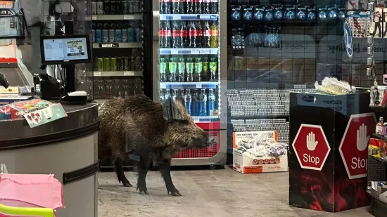 Do&scaron;li po piće, a dočekao ih prizor koji nisu očekivali: Evo tko im je u&scaron;etao u trgovinu