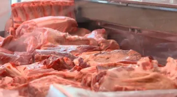 Poguban parazit &scaron;iri se svijetom. Opasan je za ljude i ljubimce: Nastupa paraliza, čak i smrt