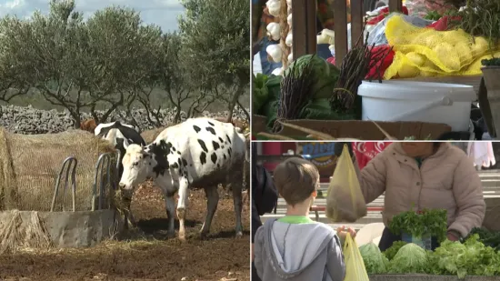Istražili smo kako doći do domaće hrane: 'Mladi ovo ne kuhaju, a stariji su umrli'