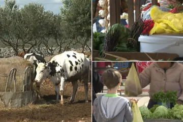 Istražili smo kako doći do domaće hrane: 'Mladi ovo ne kuhaju, a stariji su umrli'