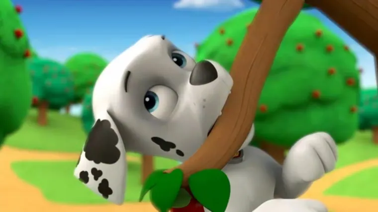 Tajna uspjeha Psića u ophodnji: Lekcije o timskom radu, hrabrosti i prijateljstvu