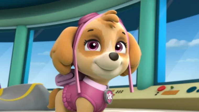 Tajna uspjeha Psića u ophodnji: Lekcije o timskom radu, hrabrosti i prijateljstvu