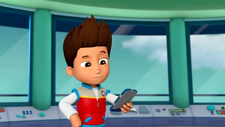 Tajna uspjeha Psića u ophodnji: Lekcije o timskom radu, hrabrosti i prijateljstvu