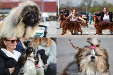&Scaron;ape, repići i čupava 'slatkoća' na najjače: Ove nju&scaron;ke osvojile su Hrvatsku!