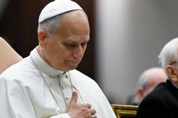 Papa Lav na molitvi Angelus zavapio: 'U ime kr&scaron;ćana apeliram - prestanite!'