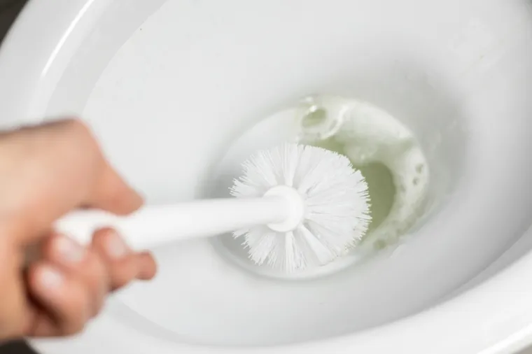 Zahod će blistati i bez izbjeljivača: Stručnjak otkrio učinkovitiju i sigurniju alternativu