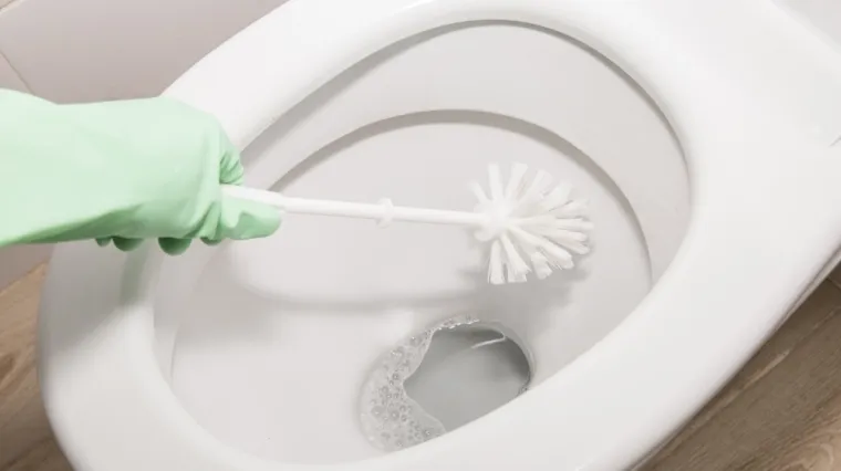 Zahod će blistati i bez izbjeljivača: Stručnjak otkrio učinkovitiju i sigurniju alternativu