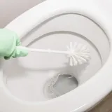 Zahod će blistati i bez izbjeljivača: Stručnjak otkrio učinkovitiju i sigurniju alternativu