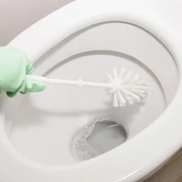 Zahod će blistati i bez izbjeljivača: Stručnjak otkrio učinkovitiju i sigurniju alternativu