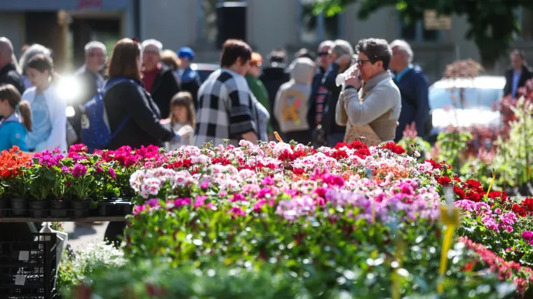 Stiže novac za Hrvate koji rade jednu važnu stvar: Evo kako do tisuća eura, rok već curi