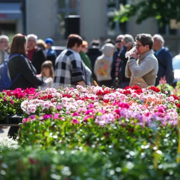Stiže novac za Hrvate koji rade jednu važnu stvar: Evo kako do tisuća eura, rok već curi