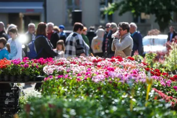 Stiže novac za Hrvate koji rade jednu važnu stvar: Evo kako do tisuća eura, rok već curi