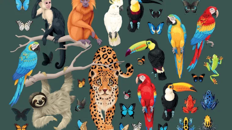 [KVIZ] Provjerite svoje znanje o stanovnicima džungle i savane