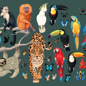 [KVIZ] Provjerite svoje znanje o stanovnicima džungle i savane