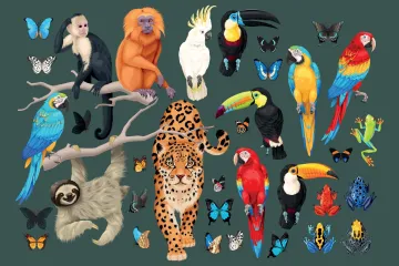 [KVIZ] Provjerite svoje znanje o stanovnicima džungle i savane