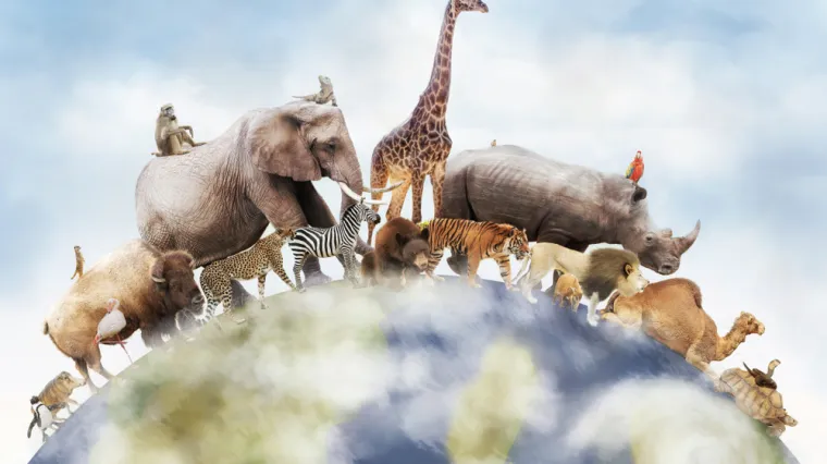 [KVIZ] Svi moraju znati s kojih kontinenata potječu ove životinjske vrste