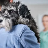 Veterinar: 'Svi vlasnici koji se opra&scaron;taju od ljubimaca postavljaju isto pitanje'