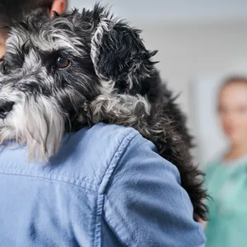 Veterinar: 'Svi vlasnici koji se opra&scaron;taju od ljubimaca postavljaju isto pitanje'