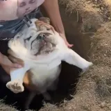 Ima tako nekih stvorenja koja naprosto vole upadati u nevolje