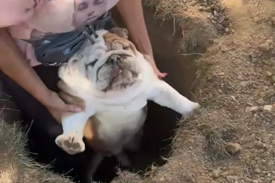 Ima tako nekih stvorenja koja naprosto vole upadati u nevolje