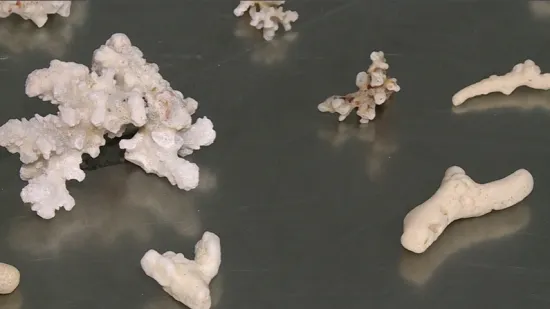 Carinici pokazali &scaron;to su na&scaron;li kod putnica u zagrebačkoj zračnoj luci: Pokupile su ih na Sej&scaron;elima, Filipinima...