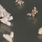 Carinici pokazali &scaron;to su na&scaron;li kod putnica u zagrebačkoj zračnoj luci: Pokupile su ih na Sej&scaron;elima, Filipinima...