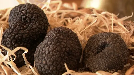 Svi žele hrvatski 'crni dijamant', ali domaći ljudi upozoravaju: 'Oni ne po&scaron;tuju pravila!'