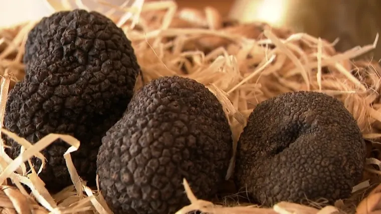 Svi žele hrvatski 'crni dijamant', ali domaći ljudi upozoravaju: 'Oni ne po&scaron;tuju pravila!'