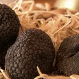 Svi žele hrvatski 'crni dijamant', ali domaći ljudi upozoravaju: 'Oni ne po&scaron;tuju pravila!'