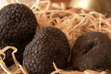 Svi žele hrvatski 'crni dijamant', ali domaći ljudi upozoravaju: 'Oni ne po&scaron;tuju pravila!'