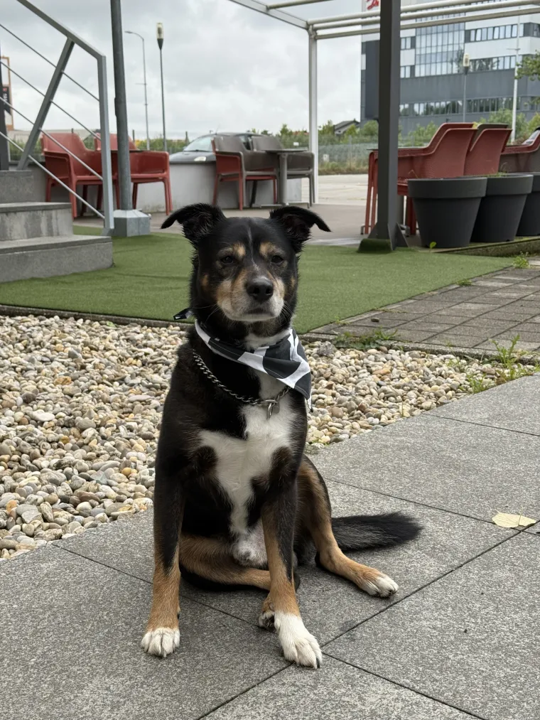 Ivona Ažić o svom radijskom putu: 'Bravo je moja želja od samog početka'