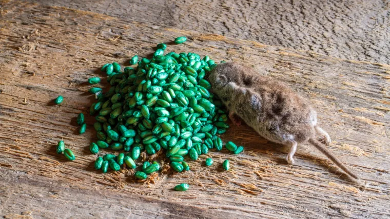 Otac monstrum poku&scaron;ao ubiti kćer (3) otrovom za mi&scaron;eve: Složio je smrtonosnu dozu...