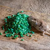 Otac monstrum poku&scaron;ao ubiti kćer (3) otrovom za mi&scaron;eve: Složio je smrtonosnu dozu...