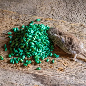 Otac monstrum poku&scaron;ao ubiti kćer (3) otrovom za mi&scaron;eve: Složio je smrtonosnu dozu...