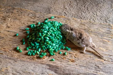 Otac monstrum poku&scaron;ao ubiti kćer (3) otrovom za mi&scaron;eve: Složio je smrtonosnu dozu...