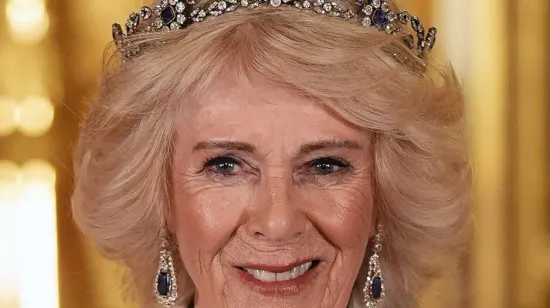 Paprena cijena novih obrva kraljice Camille: Ovaj iznos dali bi samo najbogatiji