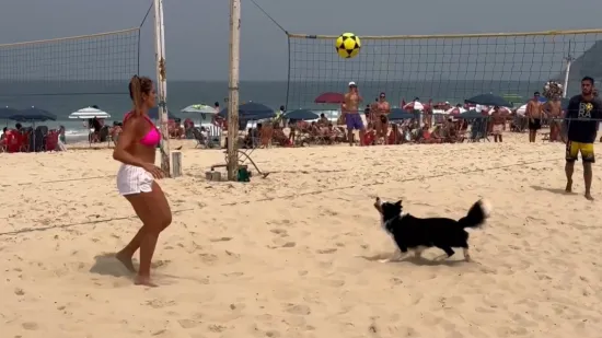 Ima li itko u tom Brazilu da nije vje&scaron;t s loptom?