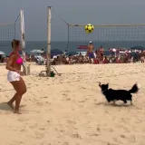 Ima li itko u tom Brazilu da nije vje&scaron;t s loptom?