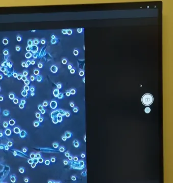 Medikol odgovorio Ivani Kekin, pročitajte &scaron;to su joj poručili: 'Ona ne razumije...'