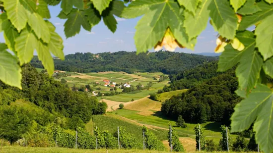 [KVIZ] Samo će pravi geografski stručnjaci znati u kojim se županijama nalaze ova sela