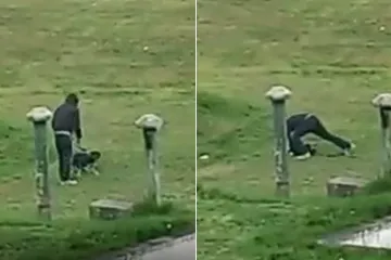 Uznemirujuća snimka zlostavljanja psa u Zagrebu: 'Klečao je koljenom na njemu i tukao ga'