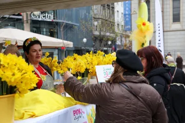 Obilježava se Dan narcisa: Na Trgu bana Jelačića besplatni mamografski pregledi i edukacija