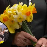 Savka poslala važnu poruku: 'Rak mi je promijenio pogled na svijet, cijenite život i pregledajte se!'