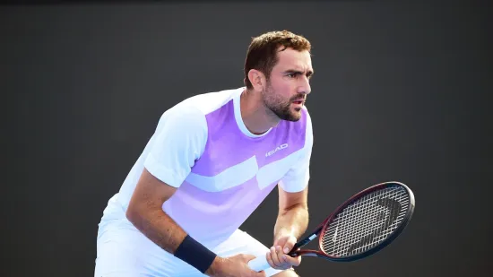 Čilić slavio protiv Amerikanca i izborio susret s četvrtim tenisačem svijeta