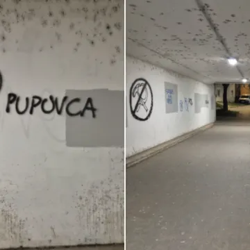 Mjesni odbor reagirao nakon poziva na ubojstvo Pupovca: 'O&scaron;tro osuđujemo govor mržnje'