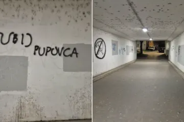 Mjesni odbor reagirao nakon poziva na ubojstvo Pupovca: 'O&scaron;tro osuđujemo govor mržnje'