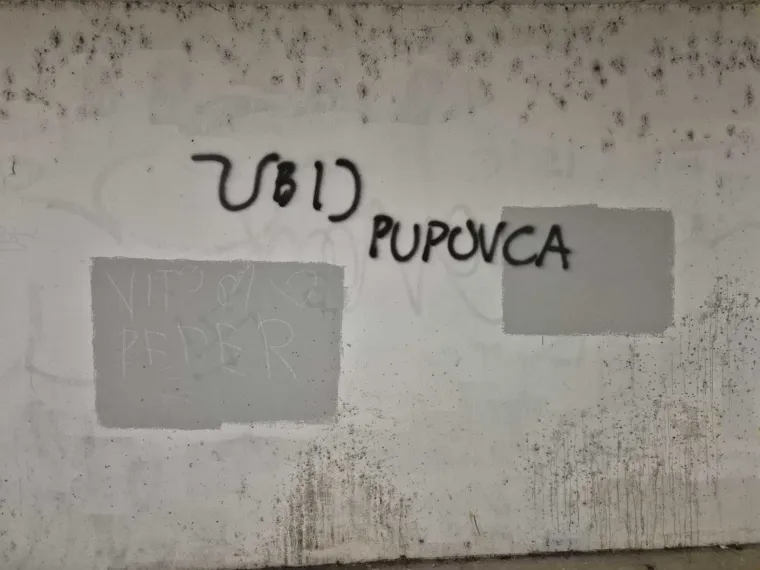 Mjesni odbor reagirao nakon poziva na ubojstvo Pupovca: 'O&scaron;tro osuđujemo govor mržnje'