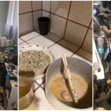 Ovo su definitvno najgori cimeri ikad: Neke fotke će vas ostaviti s poprilično uzdrmanim želucem