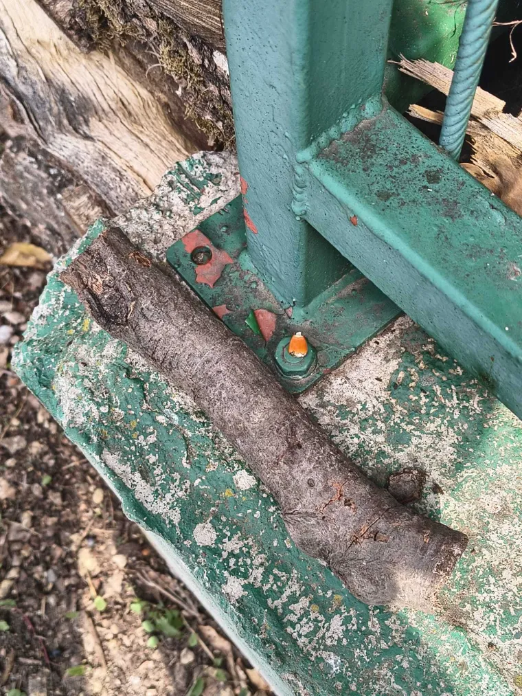 Probleme smo ostavili u zrnu kukuruza i upalilo je: 'Osjećam se kao da sam spavala osam sati'