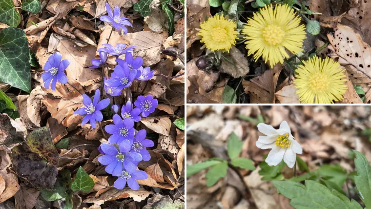 Probleme smo ostavili u zrnu kukuruza i upalilo je: 'Osjećam se kao da sam spavala osam sati'